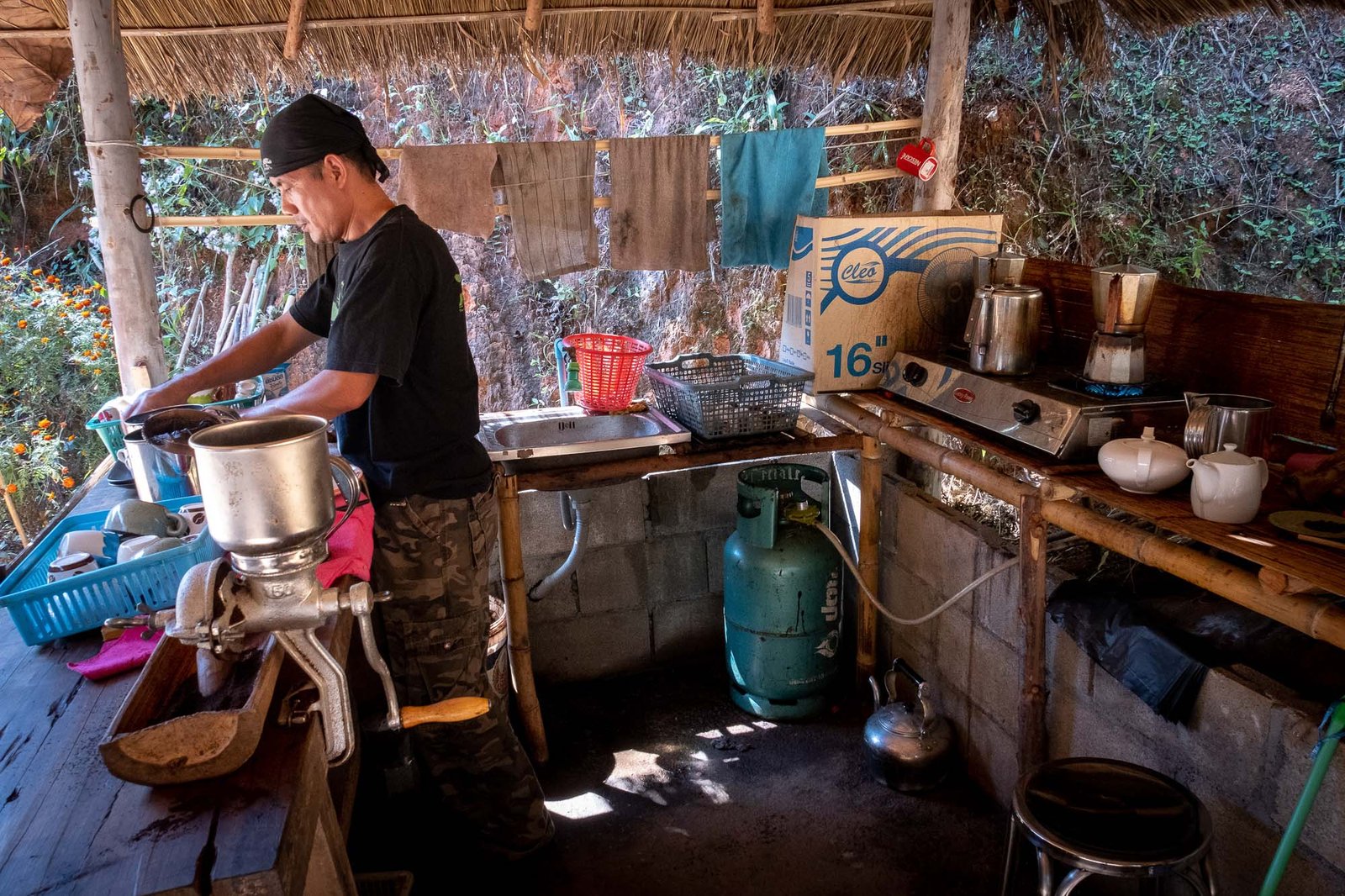 coffee doi inthanon