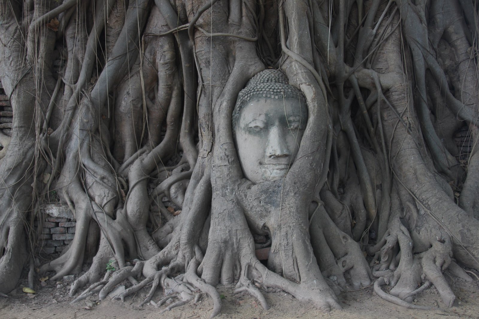 Ayutthaya